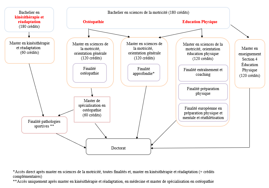  Structure des études FSM